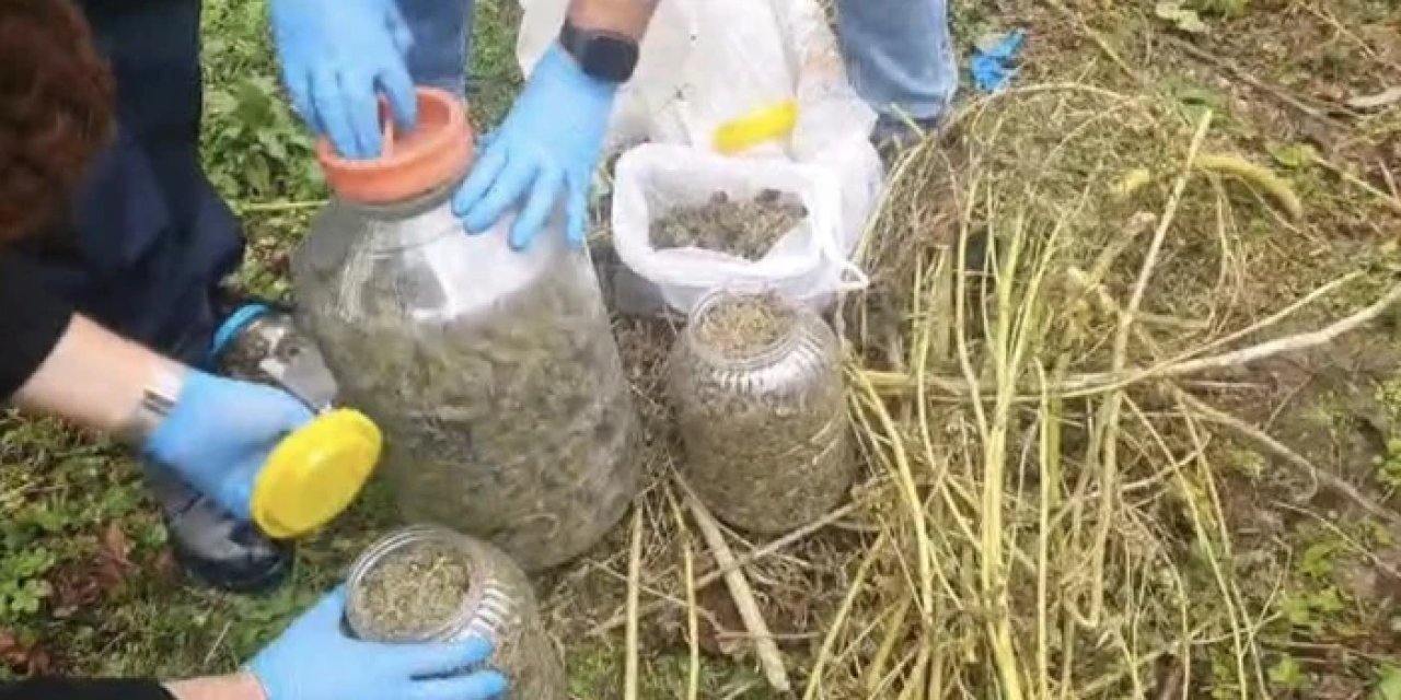 Fındık bahçesinde bidonların içinden çıkanlar şok etti