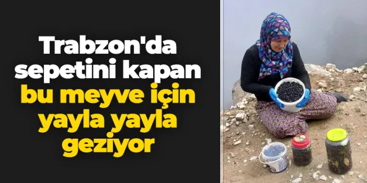 Trabzon'da sepetini kapan bu meyve için yayla yayla geziyor