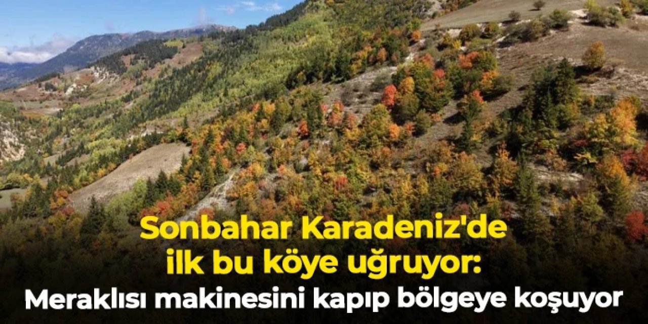 Sonbahar Karadeniz'de ilk bu köye uğruyor: Meraklısı makinesini kapıp bölgeye koşuyor