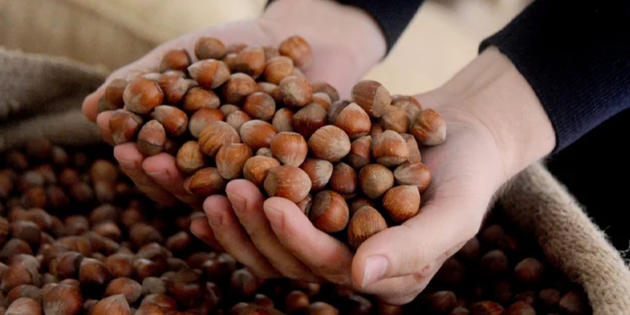 Fındık fiyatı yeni haftaya nasıl başladı? İşte serbest piyasada son durum