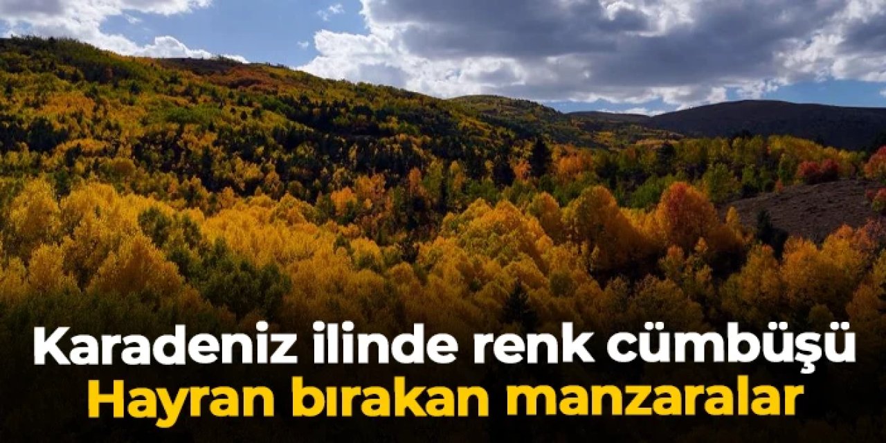Karadeniz ilinde sonbaharda renk cümbüşü: Hayran bırakan manzaralar