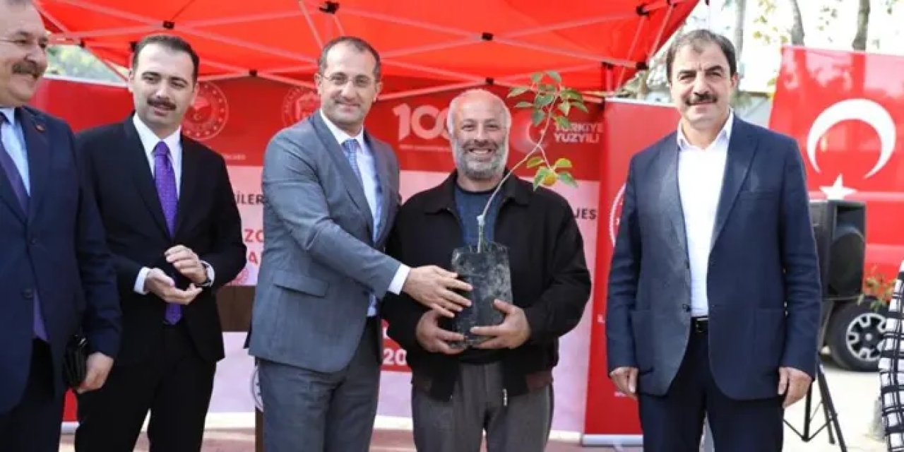 Trabzon'da 2800 adet hurma fidanı dağıtıldı