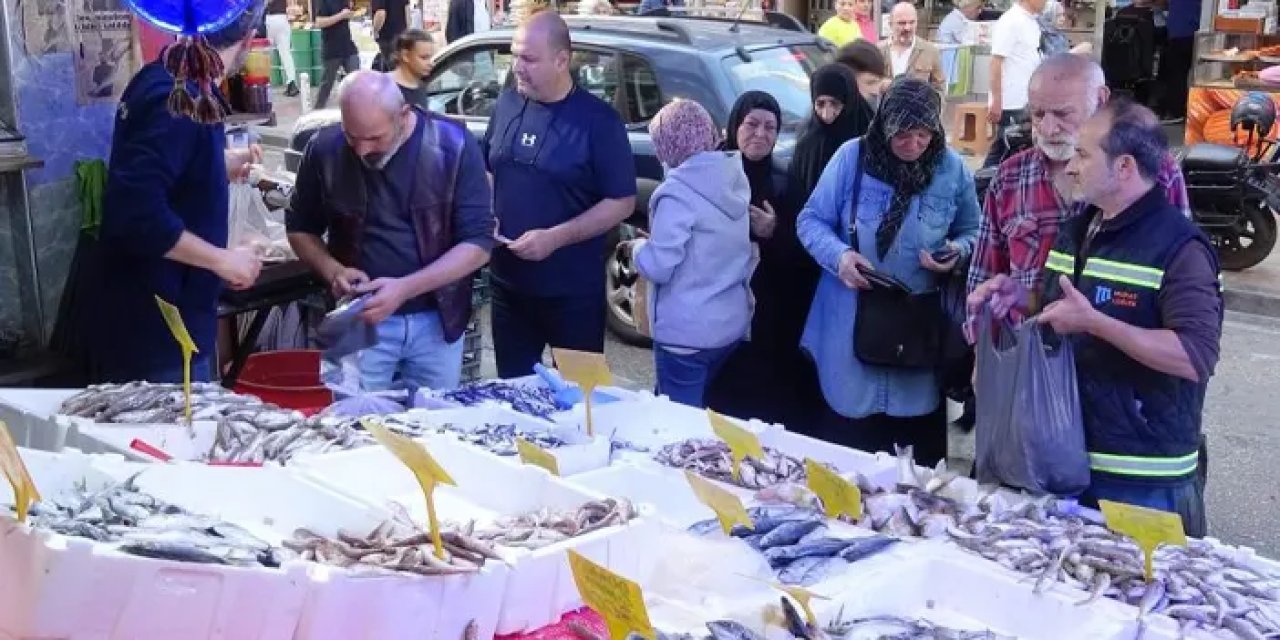 Hamsi fiyatı yarı yarıya düştü! Vatandaşlar akın etti