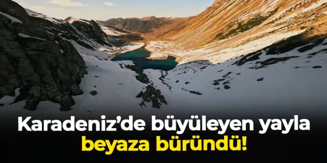 Karadeniz'de Avusor Yaylası yaylası büyülüyor