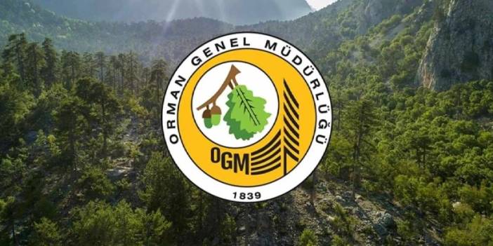 OGM 496 sözleşmeli personel alıyor: İşte açılan kadro ve pozisyonlar