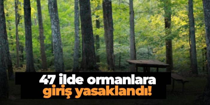 47 ilde ormanlara giriş yasaklandı! İşte tarihler ve iller