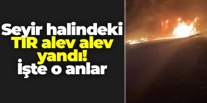 Giresun'da seyir halindeki TIR alev alev yandı