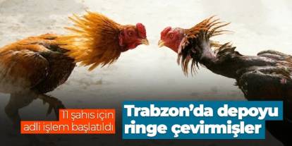 Trabzon'da depoyu horoz dövüşü için ringe çevirmişler! 11 şahsa adli işlem
