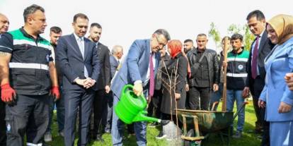 Trabzon’da yerel meyve türleri yeniden toprakla buluşuyor: Üreticilere fidan dağıtıldı