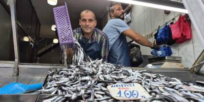 Balıkçı tezgahlarında palamut neden yok? İşte sebebi