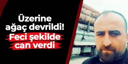 Artvin’de üzerine ağaç devrilen Musa Çil hayatını kaybetti