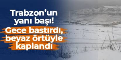 Gümüşhane'de Kadırga Yaylası beyaza büründü