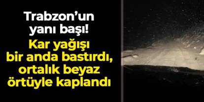 Rize'nin yüksek kesimleri beyaza büründü