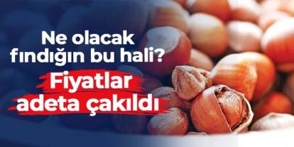 Ne olacak fındığın bu hali? Fiyatlar adeta çakıldı