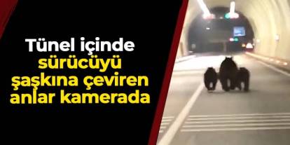 Bartın'da tünel içinde sürücüyü şaşkına çeviren anlar! 3 ayı kamerada