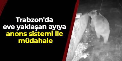 Trabzon'da eve yaklaşan ayıya anons sistemi ile müdahale