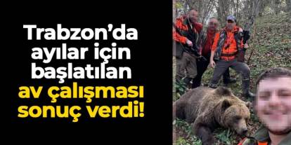 Yaylalarda boş evlere adeta baskın yapıyor! Trabzon'da ayılar için başlatılan av çalışması sonuç verdi
