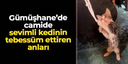 Gümüşhane'de camide sevimli kedinin tebessüm ettiren anları