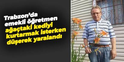 Trabzon'da ağaçtaki kediyi kurtarmak isterken düşerek yaralandı