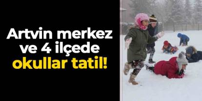 Artvin merkez ve 4 ilçede 30 Aralık Salı günü okullar tatil