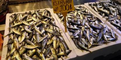 Trabzon'da balıkçı tezgahlarında hamsinin yerini istavrit alıyor