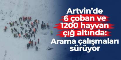 Artvin'de 6 çoban ve 1200 hayvan çığ altında: Arama çalışmaları sürüyor