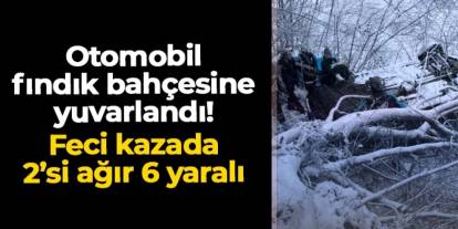 Giresun'da araç fındık bahçesine uçtu: 2'si ağır 6 yaralı var