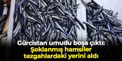 Gürcistan umudu boşa çıktı: Şoklanmış hamsiler tezgahlardaki yerini aldı
