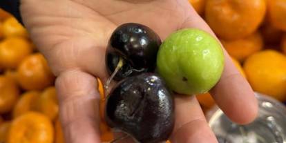 Düzce'de tane erik 250, 5 kiraz 1000 lira! "Aşerenler için satıyoruz"