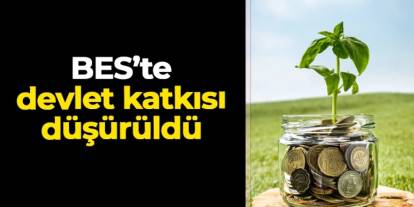 Bireysel Emeklilik Sistemi’nde devlet katkısı düşürüldü