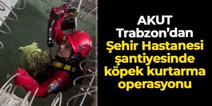 AKUT Trabzon’dan Şehir Hastanesi şantiyesinde köpek kurtarma operasyonu