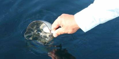 Prof. Dr. Nafiz Maden açıkladı! "Rize'de doğal ham petrol bulguları kesin olarak doğrulandı"