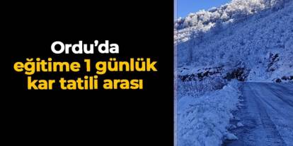 Ordu'da eğitime 1 günlük kar tatili arası verildi
