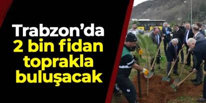 Trabzon'da 2 bin fidan toprakla buluşacak