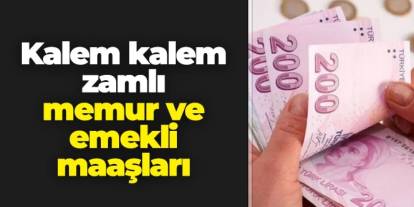İşte kalem kalem zamlı memur ve emekli maaşları!