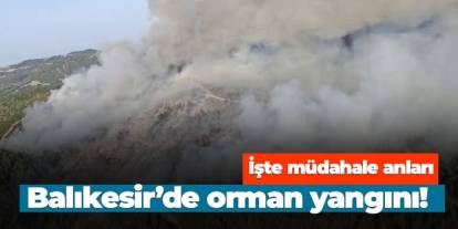 Balıkesir'de orman yangını! İşte müdahale anları