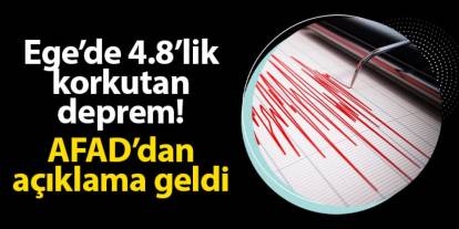 Ege'de 4.8'lik korkutan deprem! AFAD'dan açıklama geldi