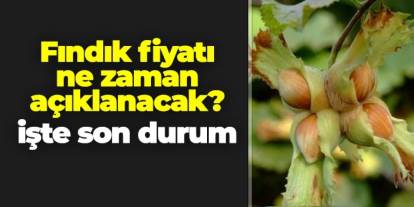 TMO 2025 fındık fiyatı ne zaman açıklanacak?