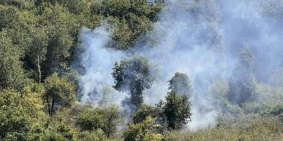 Ordu'da bahçe temizliği başlarına iş açtı