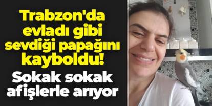 Trabzon'da evladı gibi sevdiği papağını kayboldu! Sokak sokak afişlerle arıyor