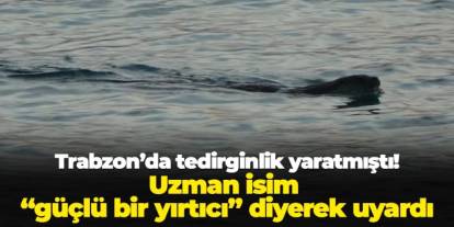 Trabzon ve Karadeniz'de tedirginlik yaratmıştı! Uzman isim "güçlü bir yırtıcı" diyerek uyardı