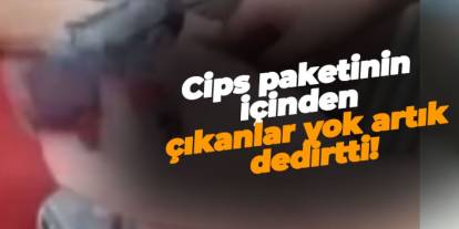 Cips paketinin içinden çıkanlar yok artık dedirtti!