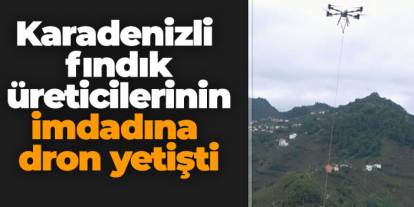 Karadenizli fındık üreticilerinin imdadına dron yetişti