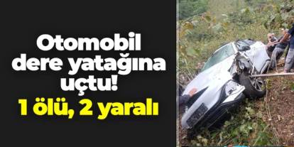 Giresun'da otomobil dere yatağına uçtu! 1 ölü, 2 yaralı