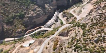 Artvin'de dron kamerasına akbaba takıldı