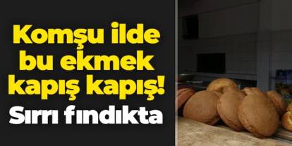 Giresun'da Abacıbükü ekmeğinin sırrı fındıkta!