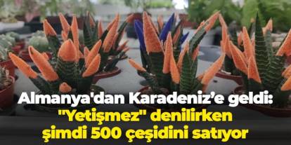 Almanya'dan Karadeniz iline geldi: "Yetişmez" denilen kaktüsün 500 çeşidini satıyor