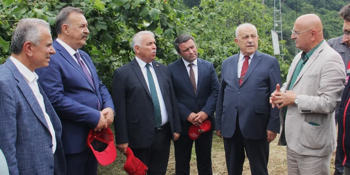borsadan-findik-bahcesi-3.webp