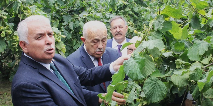 borsadan-findik-bahcesi-4.webp