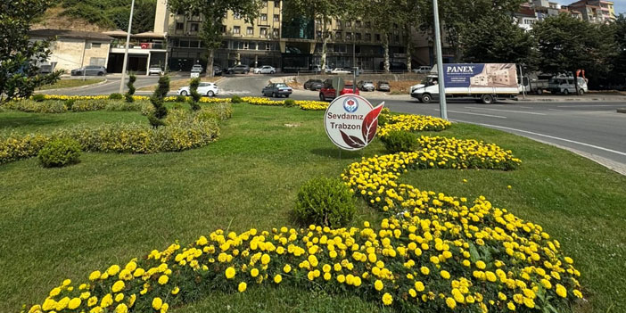 buyuksehirden-sehir-estetigine-dokunus-3.jpg